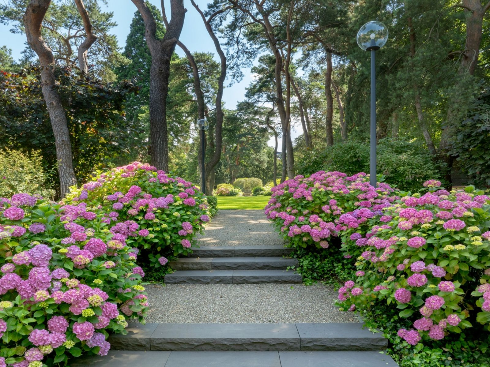  Garten.jpg