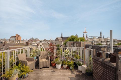 Dachterrasse mit Pflanzen über den Dächern der Skyline von Amsterdam 245161084.jpg