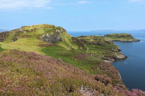 Grüne Schönheit in der Sonne Insh3.jpg