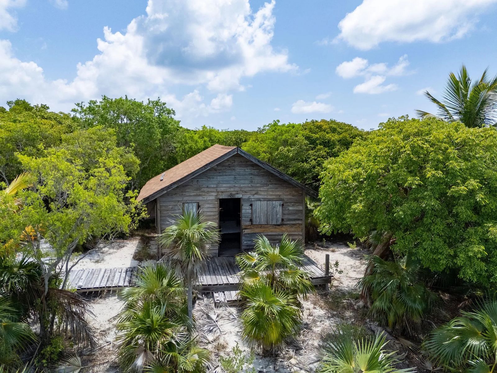 Kleines Holzhaus eingebettet in tropische Vegetation mit Palmen und Bäumen 880602DA-4D18-4924-BDD6-E089EC3AD328.jpeg