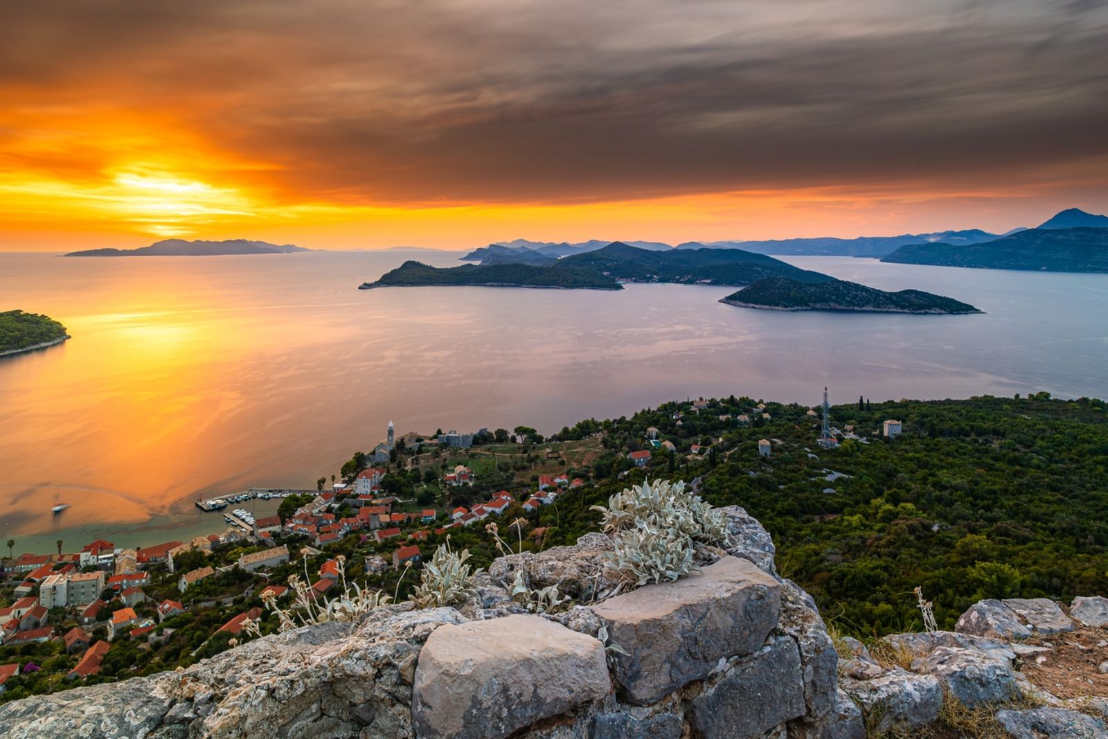 AdobeStock_1822563076.jpeg