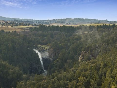 Dronenfoto vom Wasserfall und dem Wald 2019563759_9_1_241015_075623-w3992-h2992.jpg