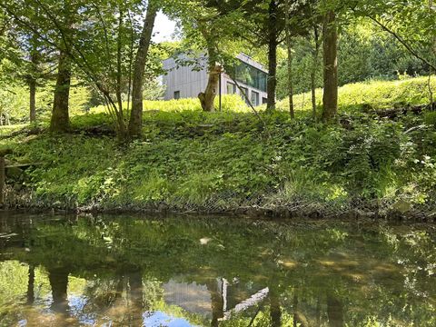 Haus durch die Bäume vom Bach aus 8original.jpg