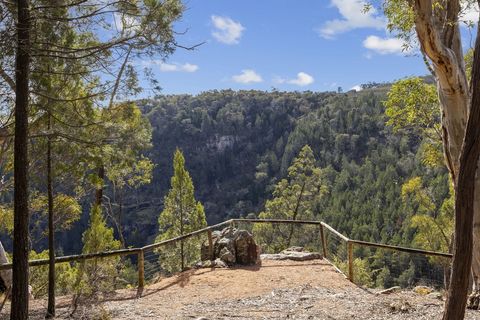 Panoramablick auf die Baum-Berge von der Wanderstrecke aus 2019563759_18_1_241015_075623-w6000-h4000.jpg