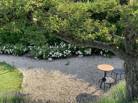  36273151-Gartenbereich.jpeg