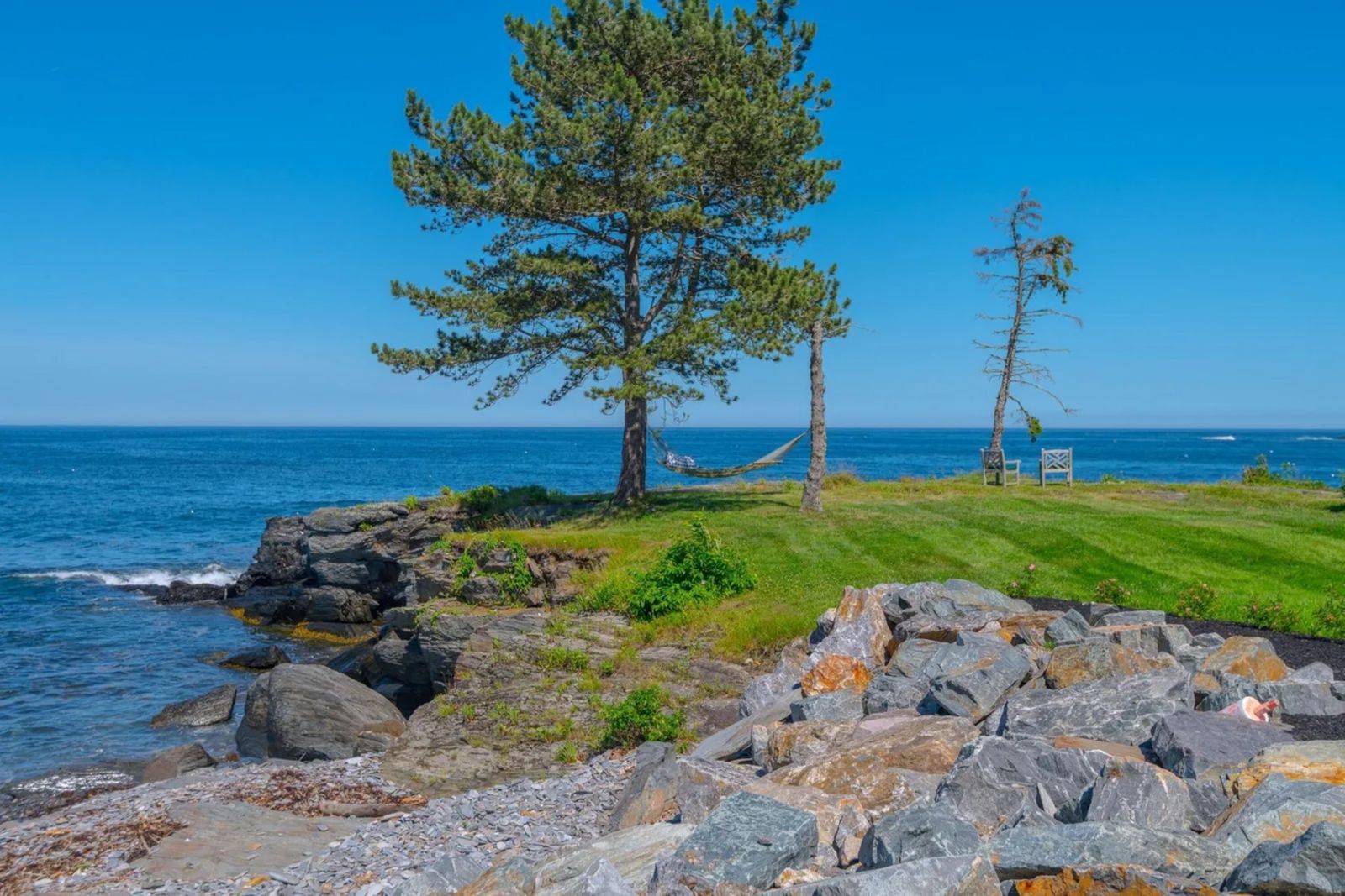 Hängematte am Wasser zwischen zwei Nadelbäumen imagereader5.jpg