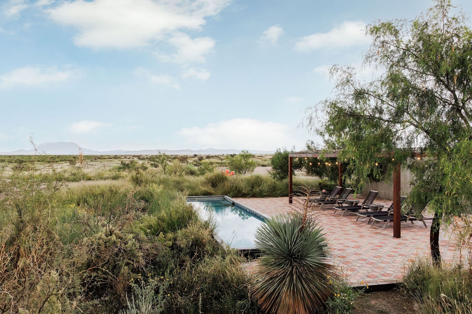 Steinterrasse mit Swimmingpool, umgeben vom Wüstengarten jameshruizphotography-friedmanranch-43.jpg