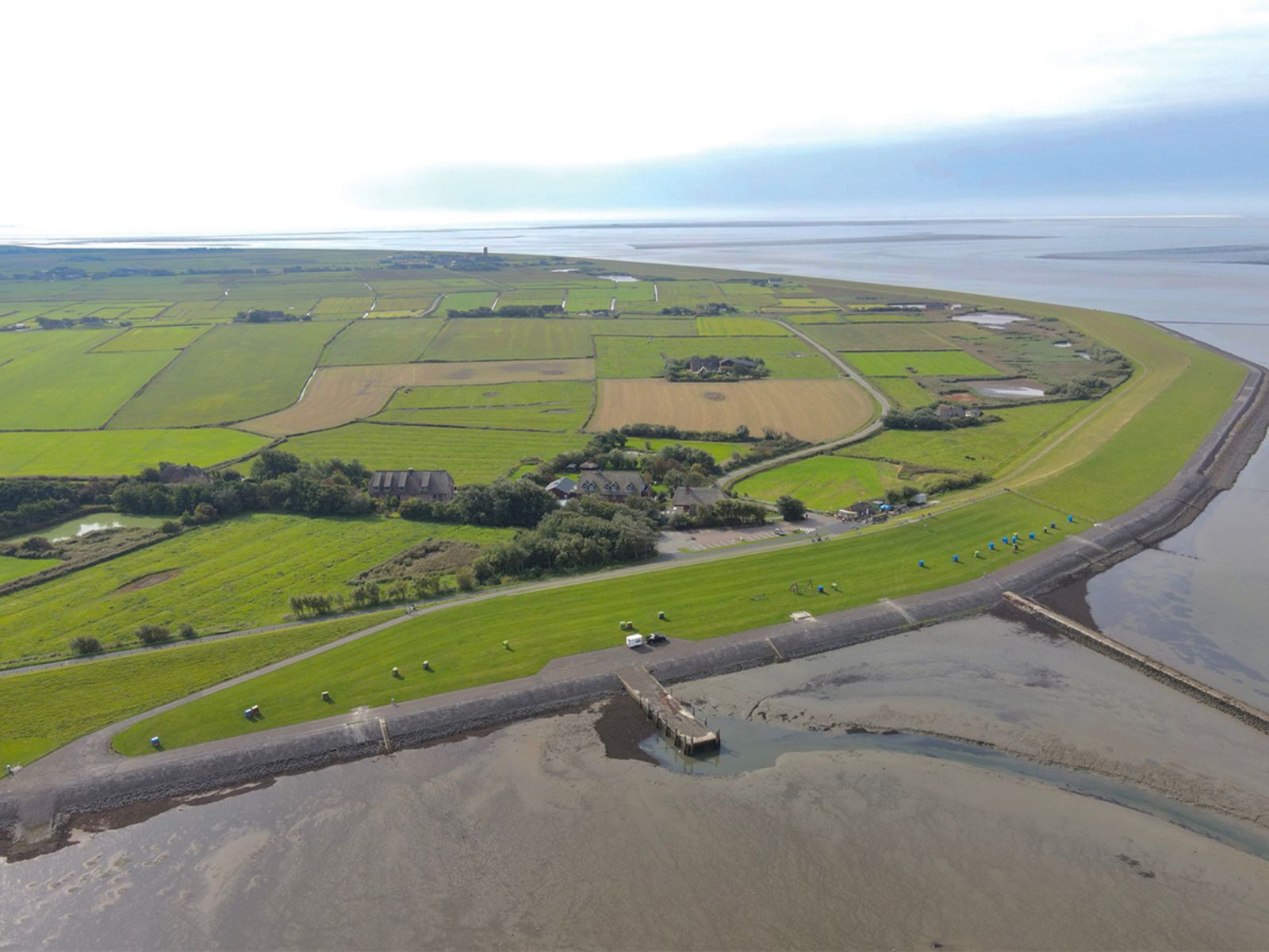 Die Insel Pellworm mitten im Wattenmeer Hooge9.jpg