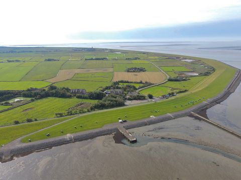 Die Insel Pellworm mitten im Wattenmeer Hooge9.jpg
