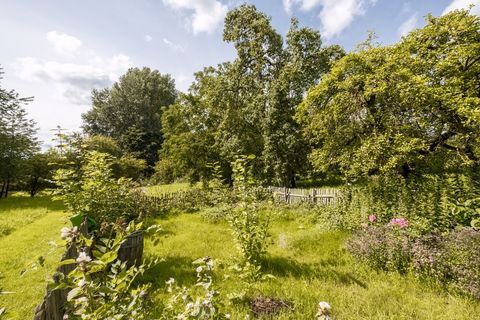 Garten mit Obst/Gemüseanbau Grass-22.jpg