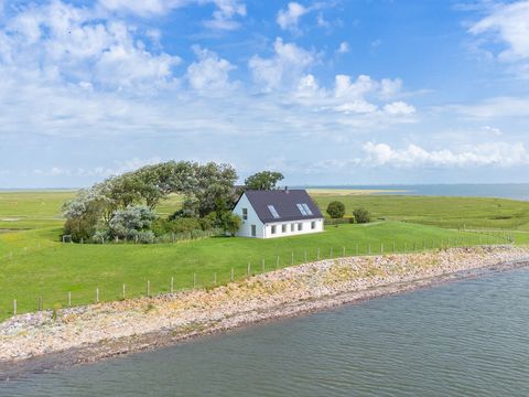 Luftaufnahme vom Wasser aus DJI_0451-HDR-2.jpg