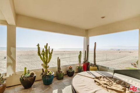 Panoramablick Strand, Kakteen inn vor großer Fensterfront 25_528_497_68669614c5fe6_4.jpg