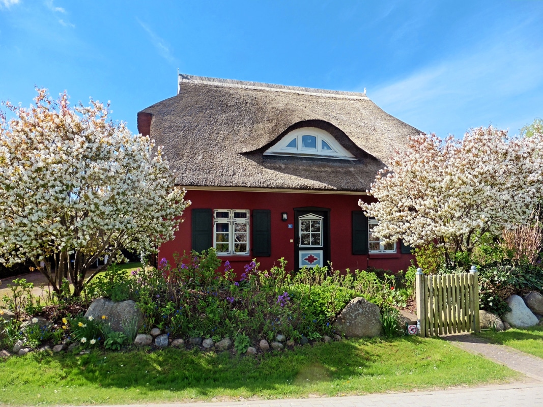 Reetdachhaus P1040391.jpg
