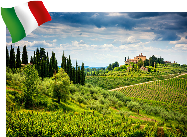 Weinhänge Italien.png