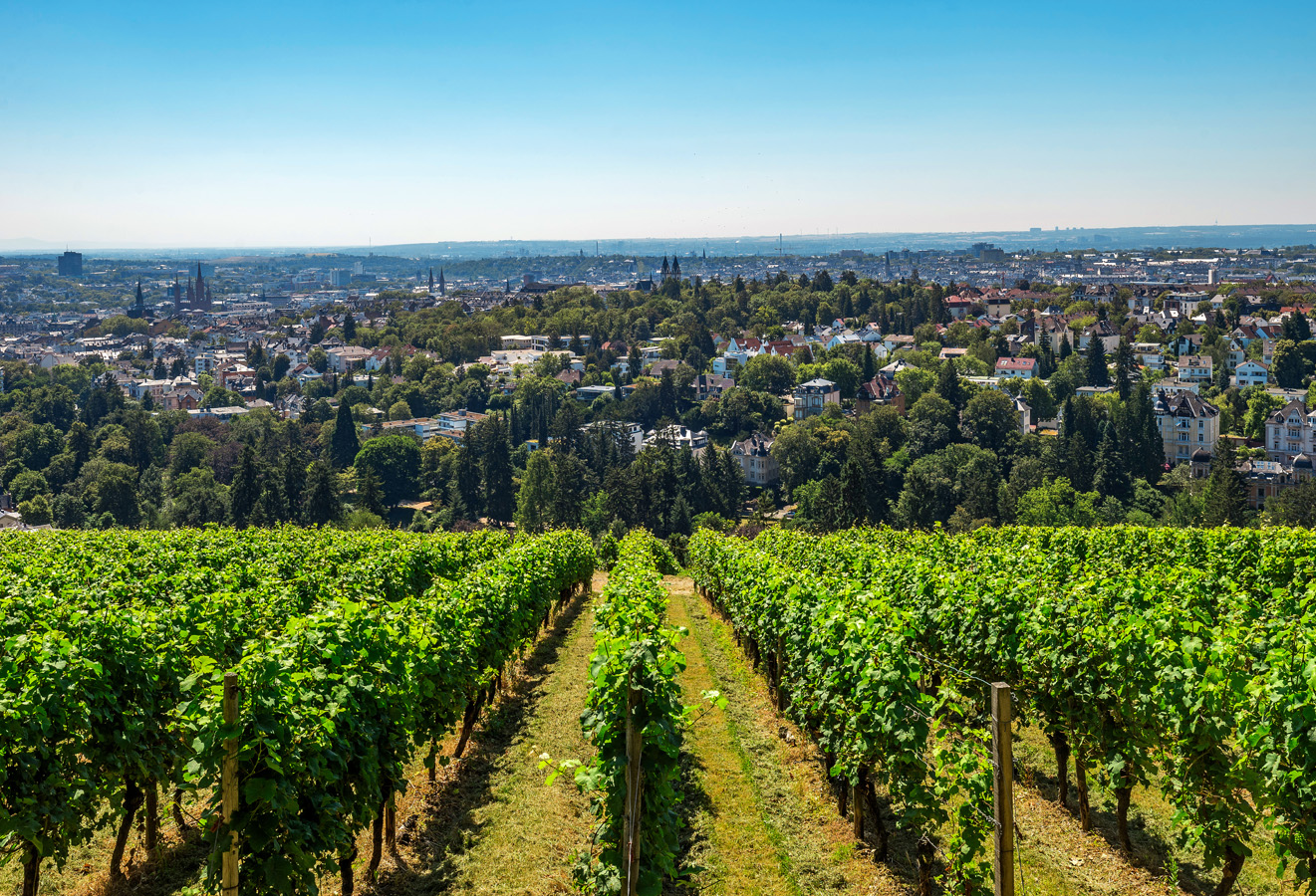 Blick auf Wiesbaden PVCF01214.jpg