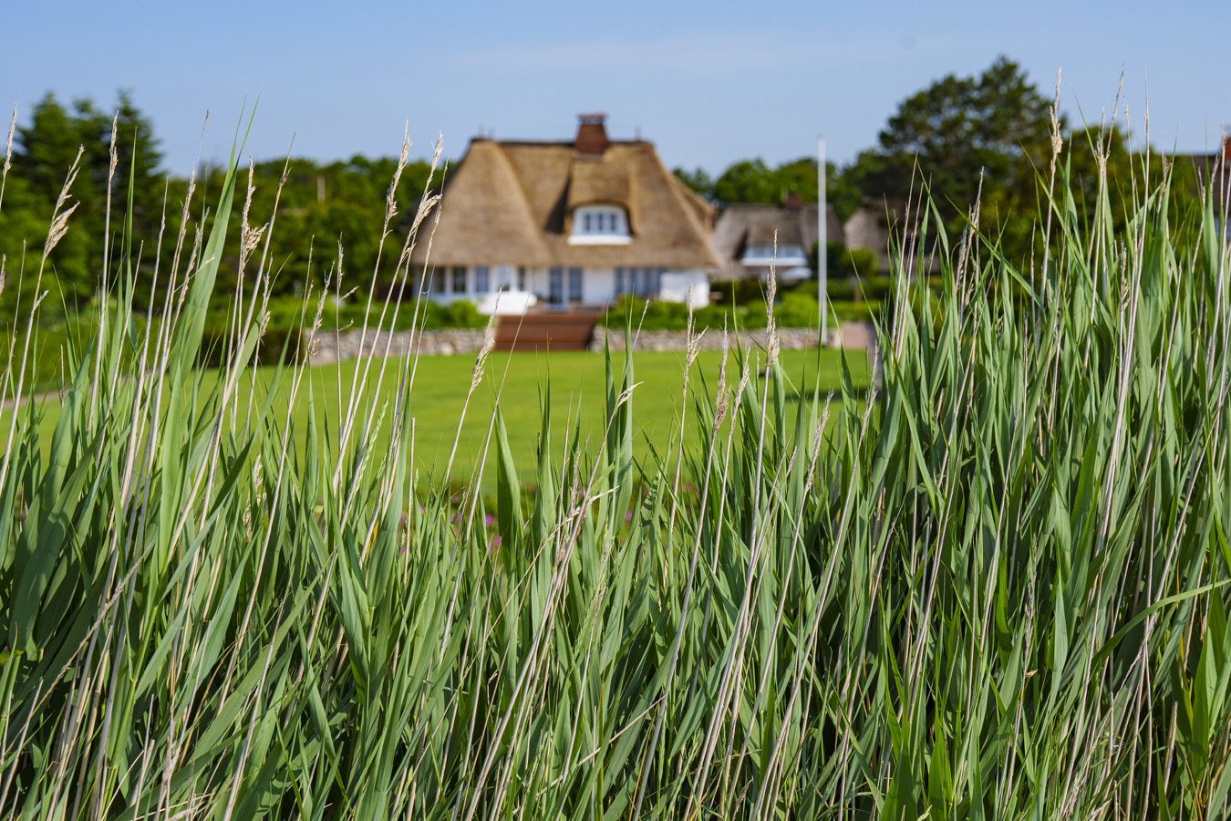 Reetdachhaus auf Föhr 390017414.jpg