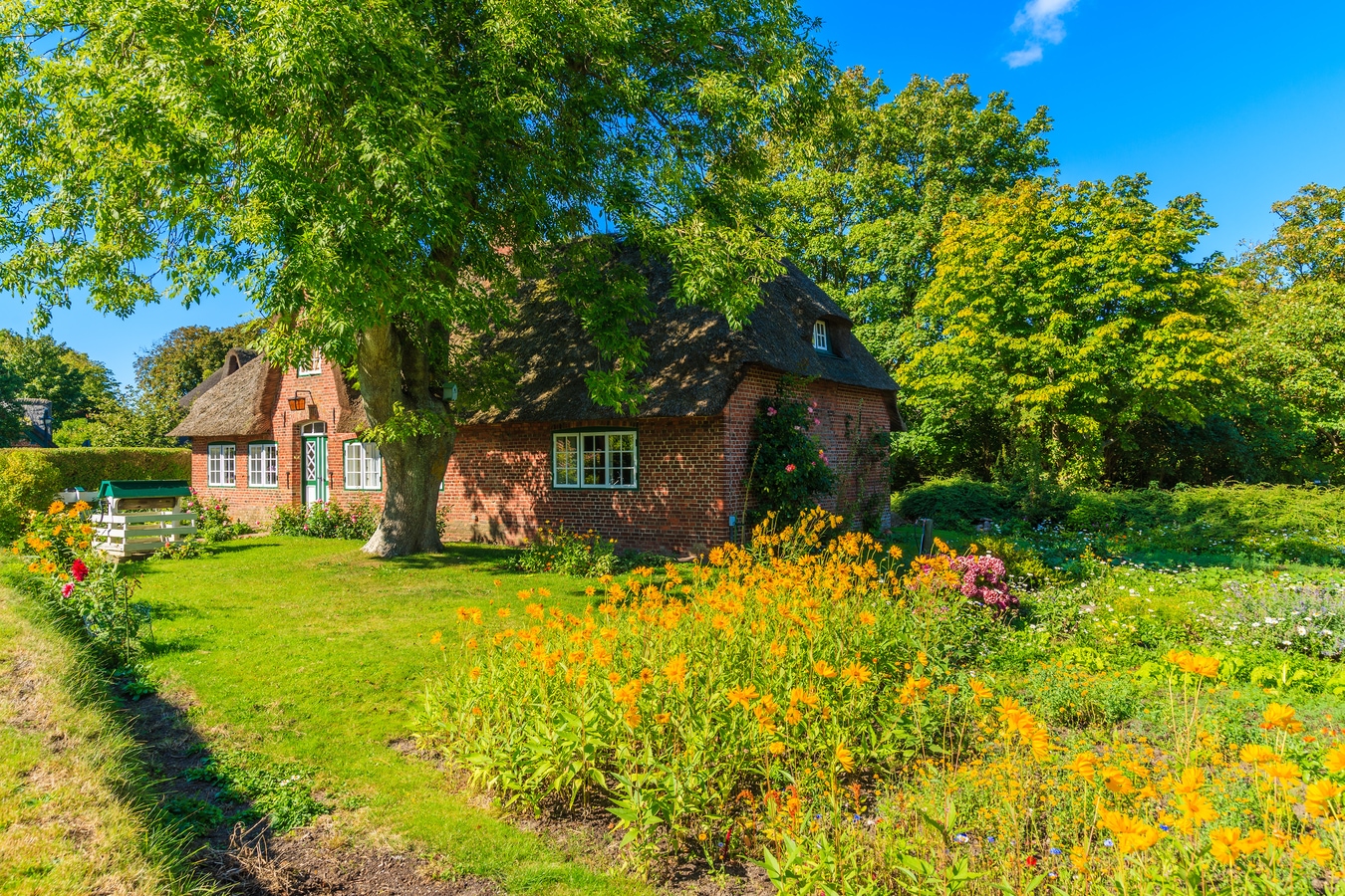 Typical red brick Frisian house with straw roof in Keitum village on Sylt island, Germany AdobeStock_135832783_pkazmierczak.jpeg
