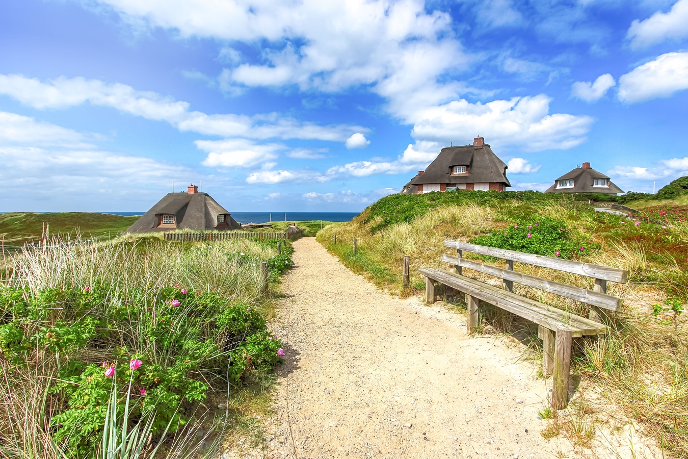 Strandurlaub auf Sylt, Sandweg, Reetdachhäuser, Holzbank AdobeStock_191343255_Katja_Xenikis.jpeg