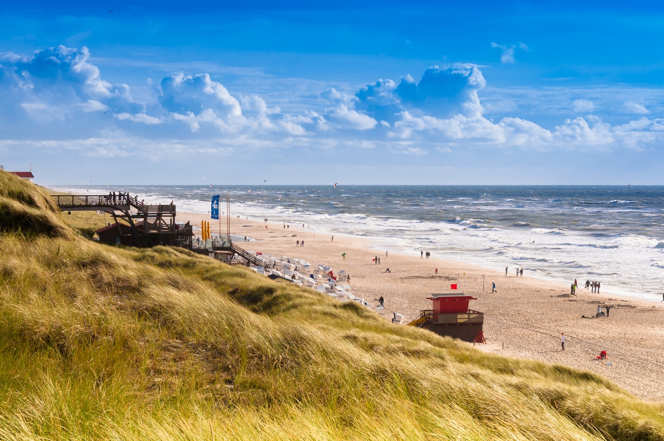 Strand mit Brandung AdobeStock_182612528_Frank_H.jpeg