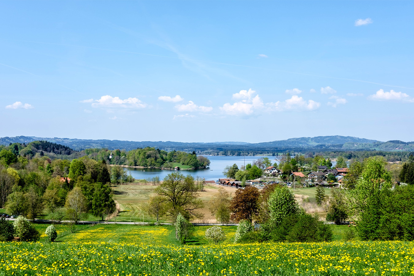 Frühlingswiese 1350x900_Website_Traeume_Bayerische_Seen_AdobeStock_201735320_topics.jpg