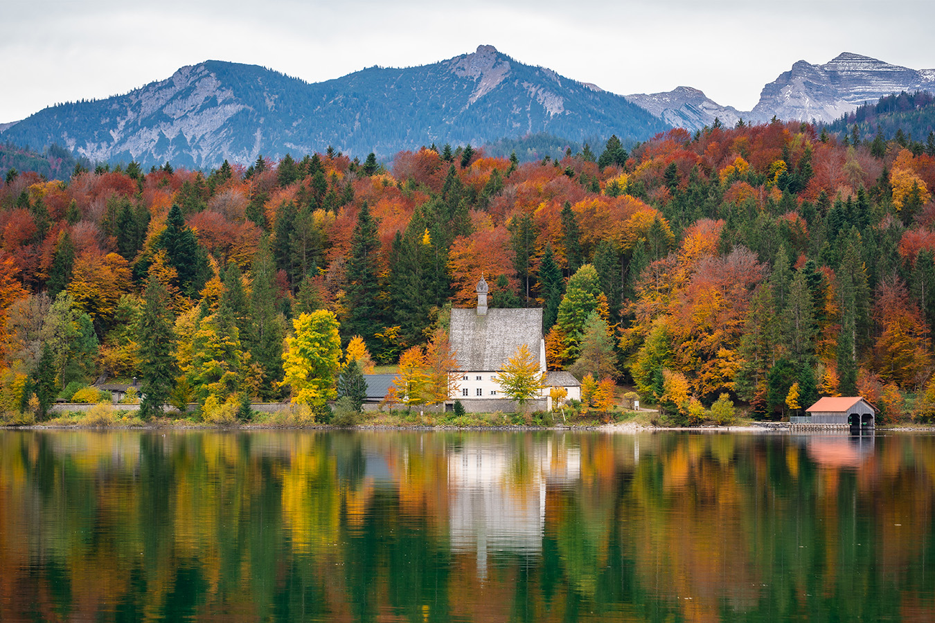 Ufer mit Wald im Herbstlaub 1350x900_Website_Traeume_Bayeriche_Seen_AdobeStock_469442341_kentauros.jpg