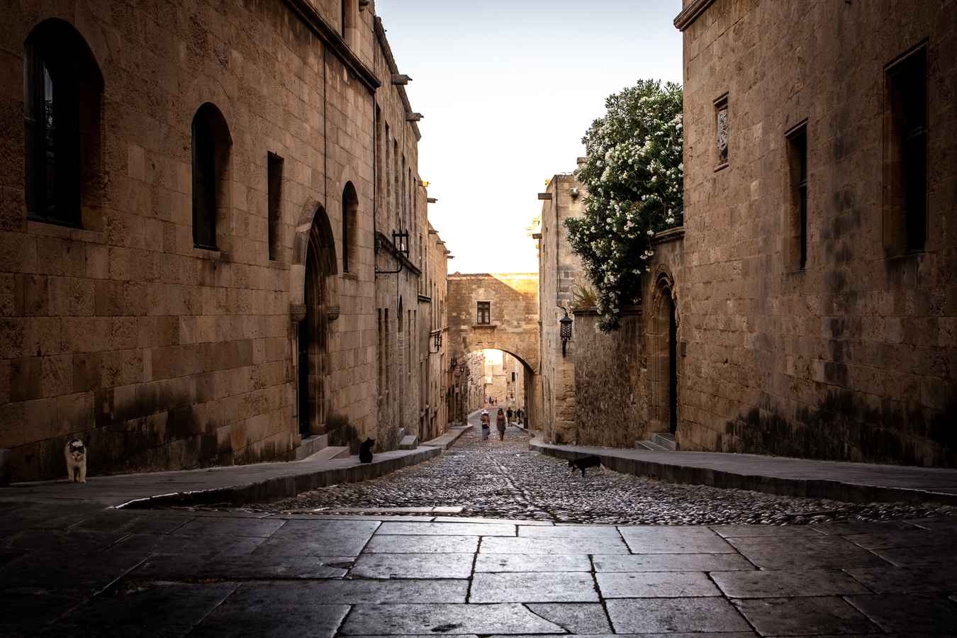 Gasse in der Altstadt von Rhodos in Griechenland AdobeStock_573213415_Lukasz.jpeg