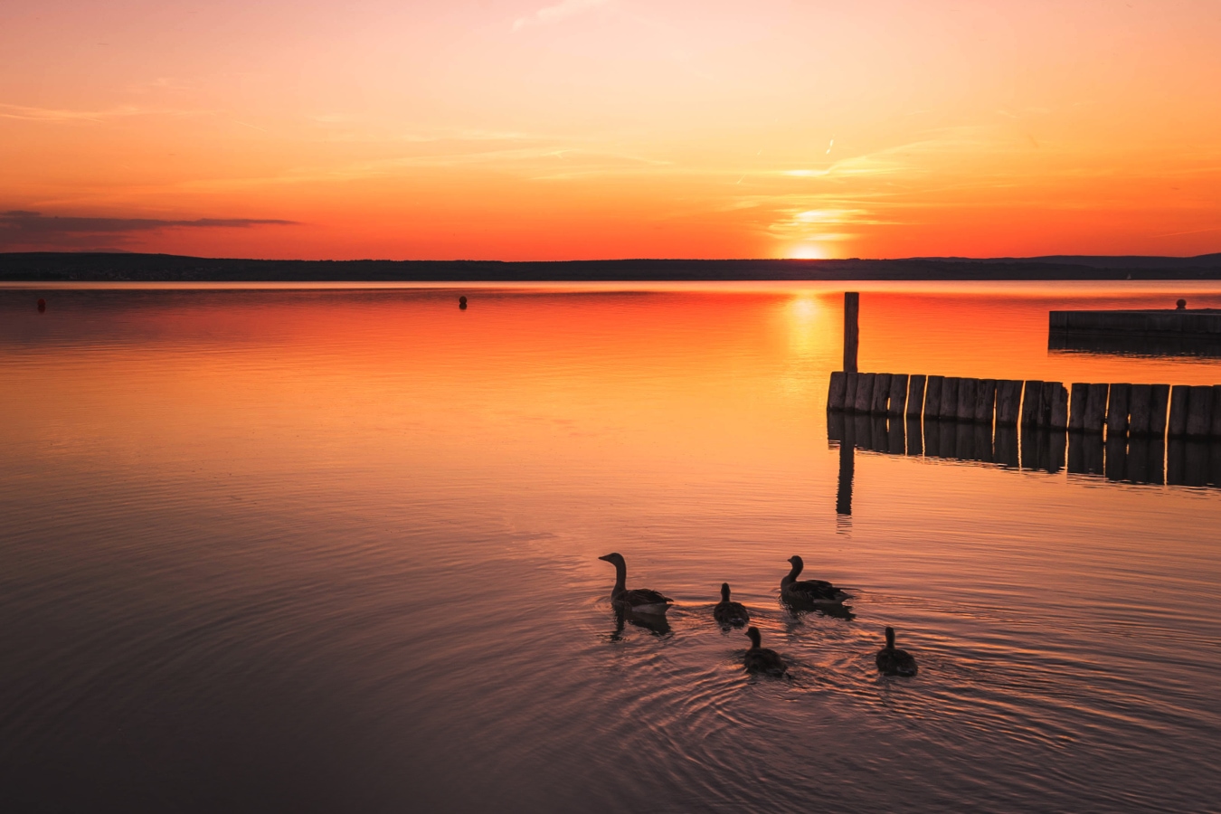 Stimmungsvoller Sonnenuntergang am Neusiedler See in Österreich AdobeStock_153898678_defpics.jpeg