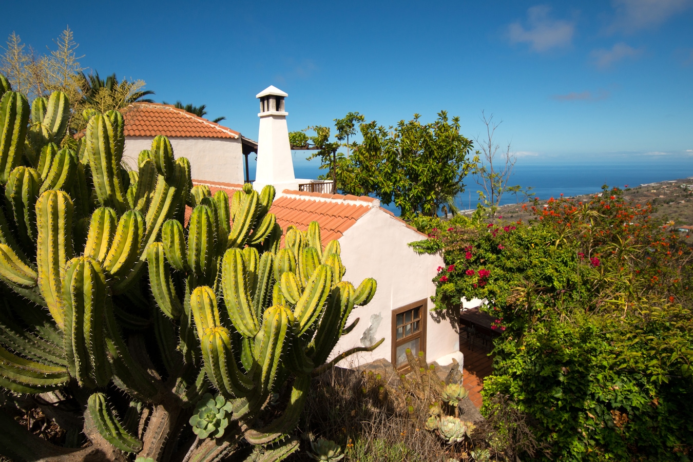 Finca in La Punta auf La Palma mit Blick aufs Meer, Kanaren, Spanien AdobeStock_94083995_travelguide.jpeg