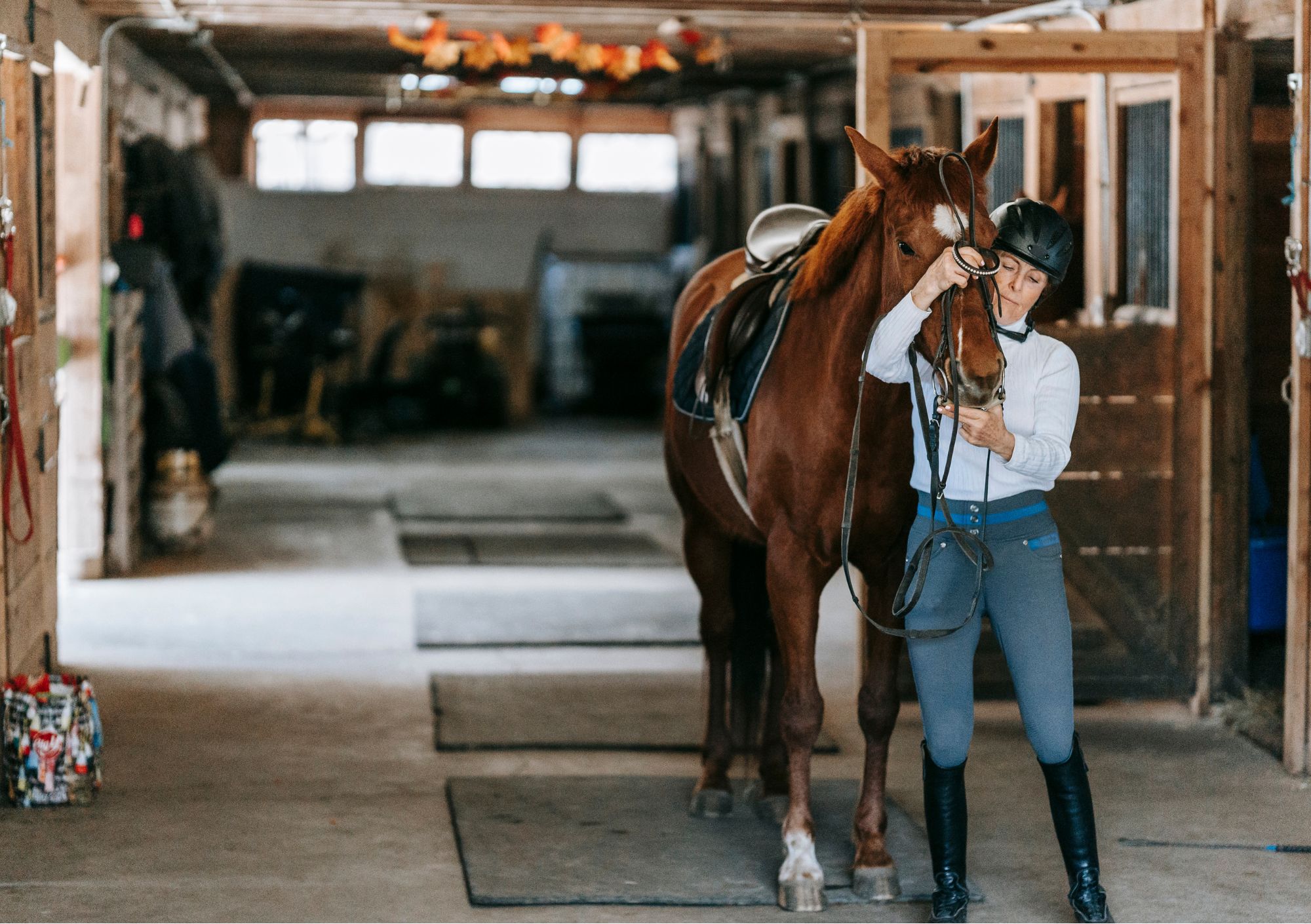 Frau steht im Stall neben Pferd, legt Tremse an ehorses_Canva_Pexels_von_Barbara_Olsen.jpg