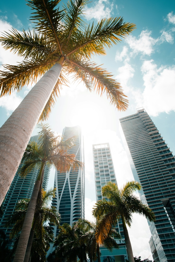  adam-thomas-bC6M3pYG71g-unsplash_Florida.jpg